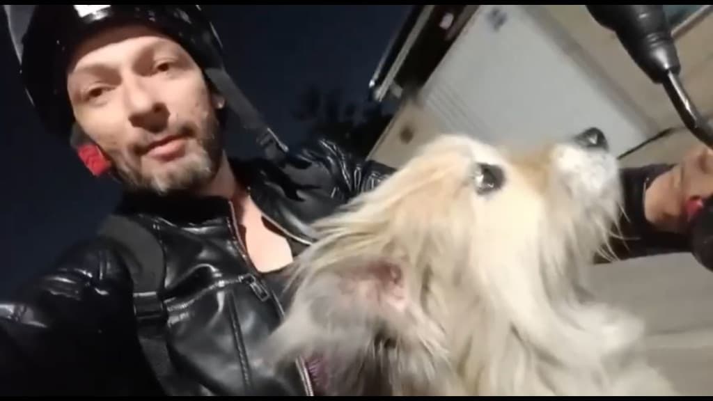 Cachorro de criança autista desaparece e é encontrado passeando de moto