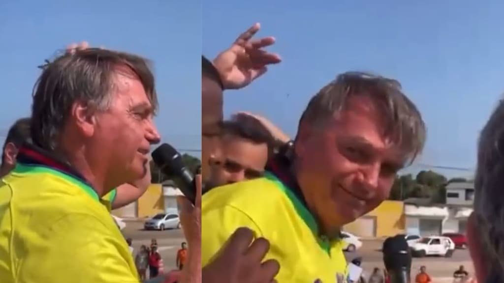 Bolsonaro é atacado por abelhas durante discurso
