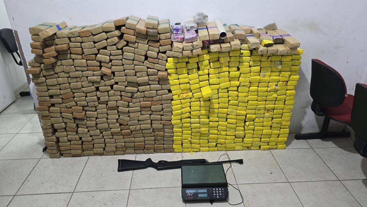 Operação em Palhoça revela esconderijo com quase 400 kg de maconha