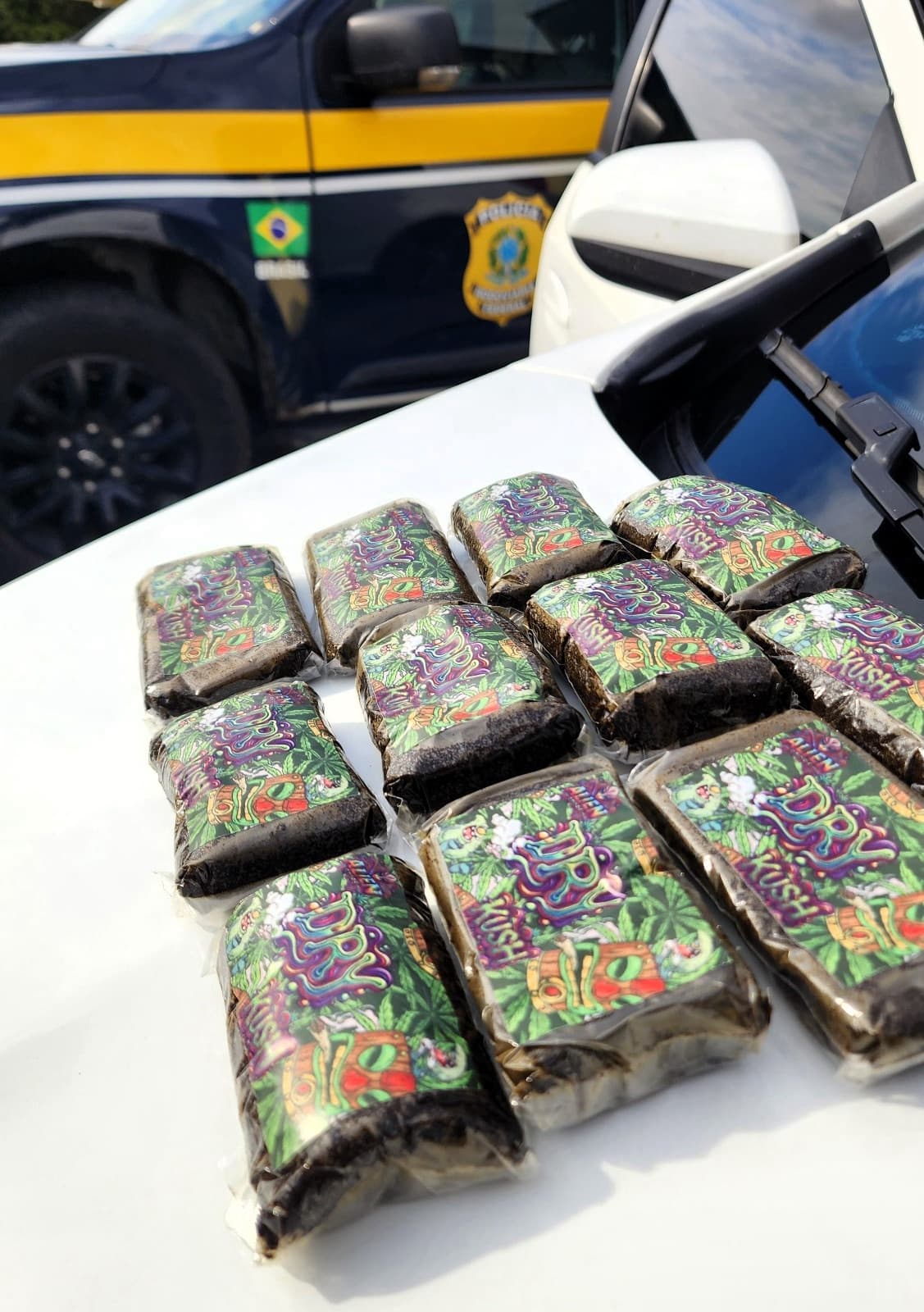 Jovem é preso na BR-101 transportando haxixe marroquino em garrafas térmicas