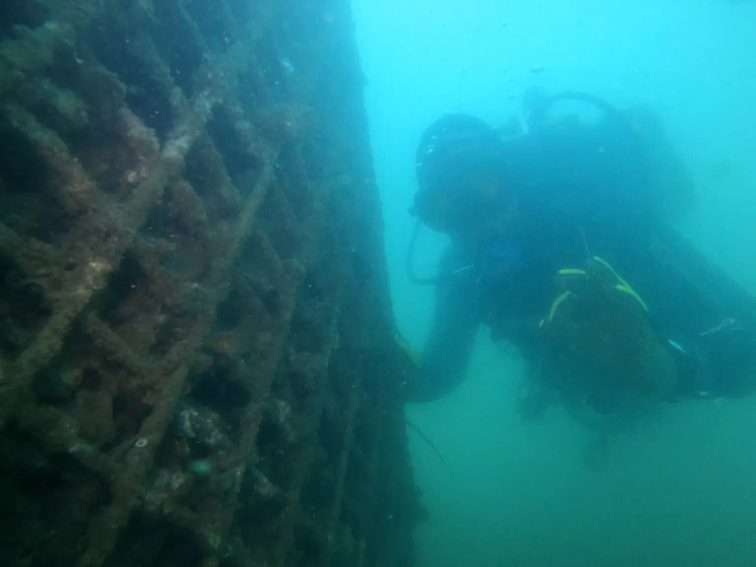 Vinhos do fundo do mar: Bombinhas lança projeto inédito no Brasil