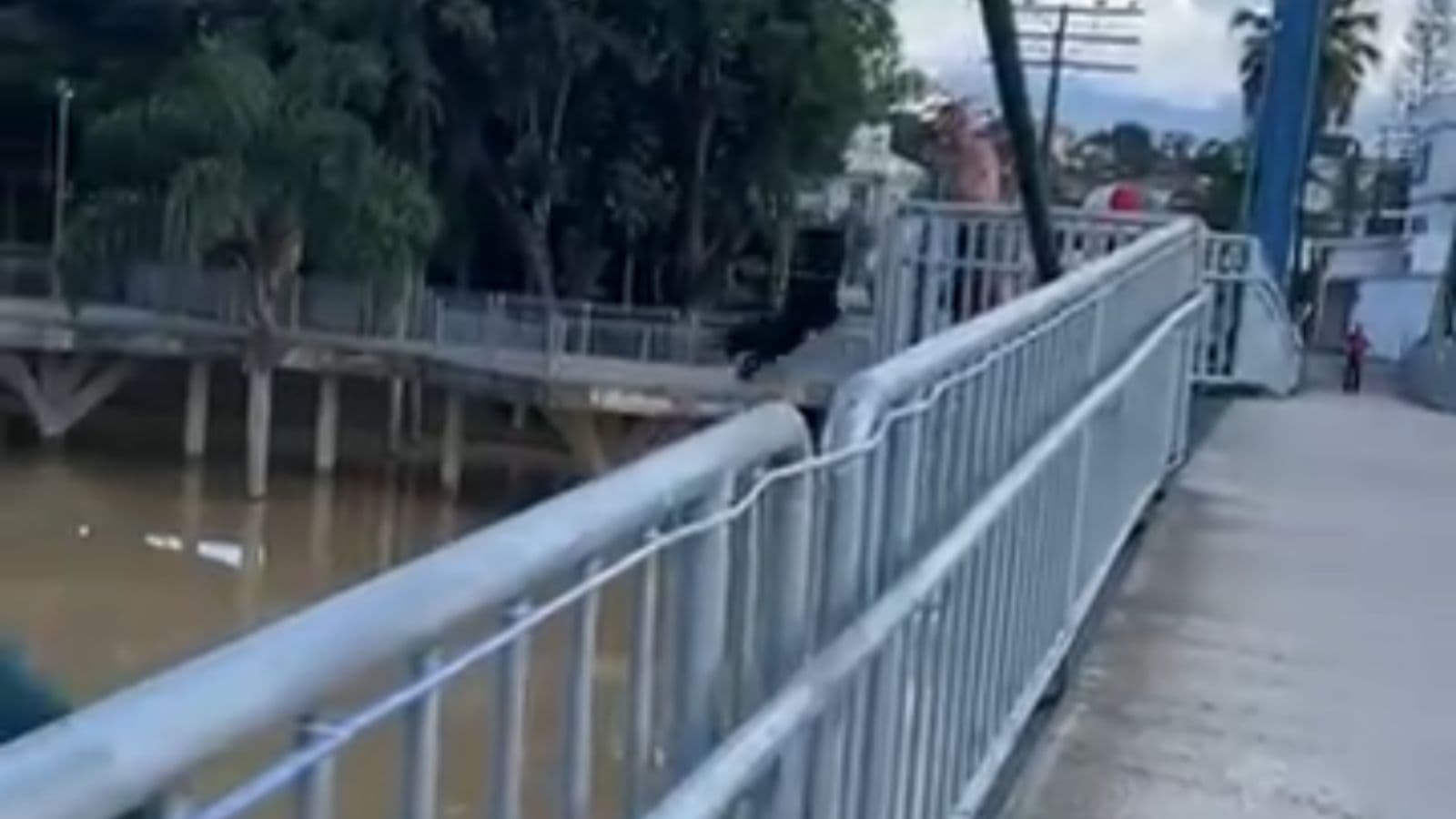 Homem é flagrado jogando cachorro de ponte dentro de rio em Santa Catarina