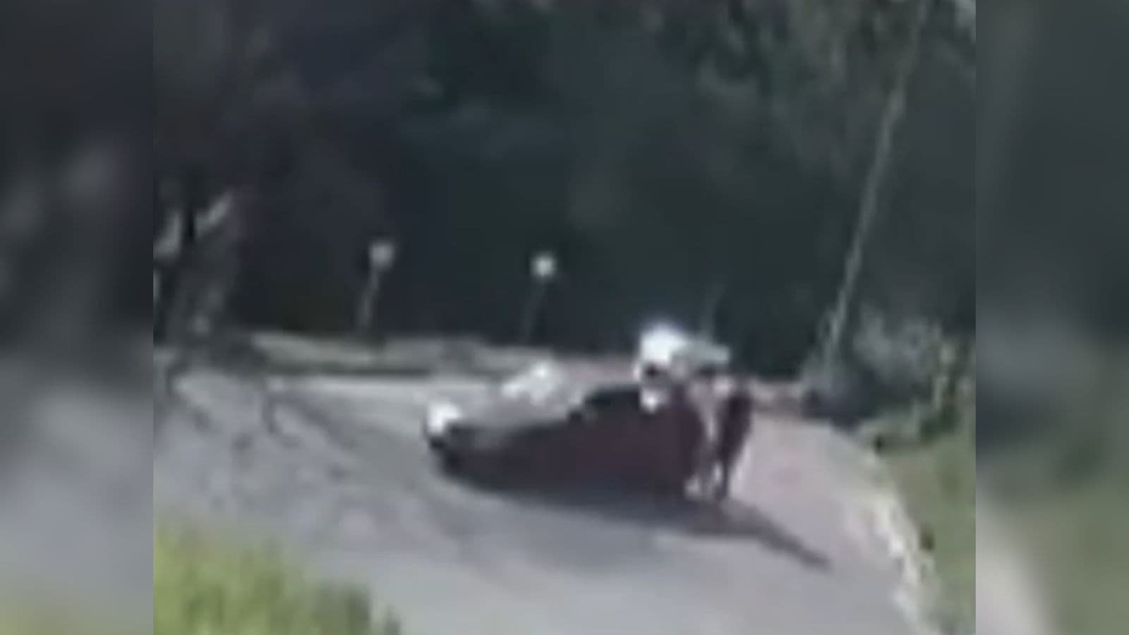 Homem segura cachorro e amigo passa por cima da cabeça com carro