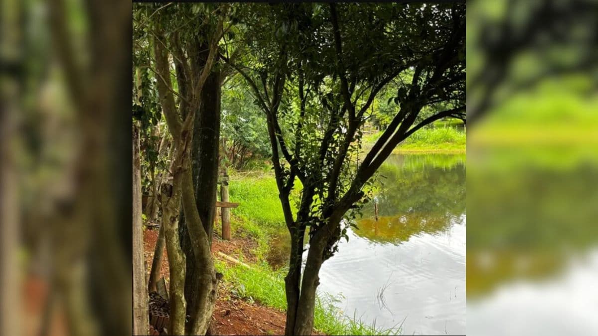 Idosa morre após se afogar em açude