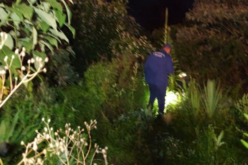 Jovens se perdem em mata fechada e resgate mobiliza bombeiros em SC
