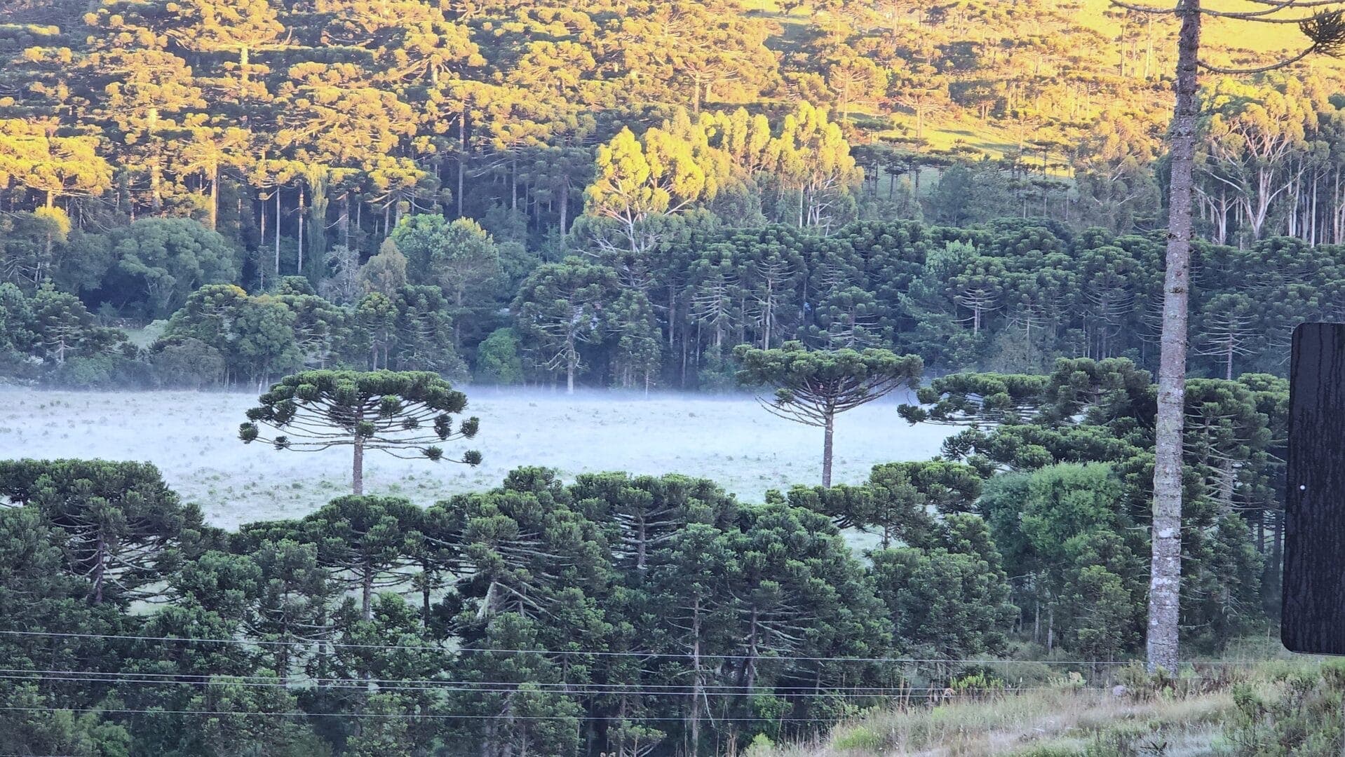 Serra Catarinense amanhece pintada de branco