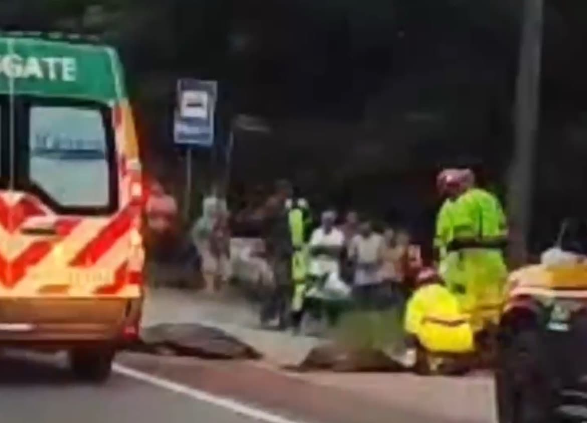 Mulher de 49 anos morre atropelada por caminhão na BR-101