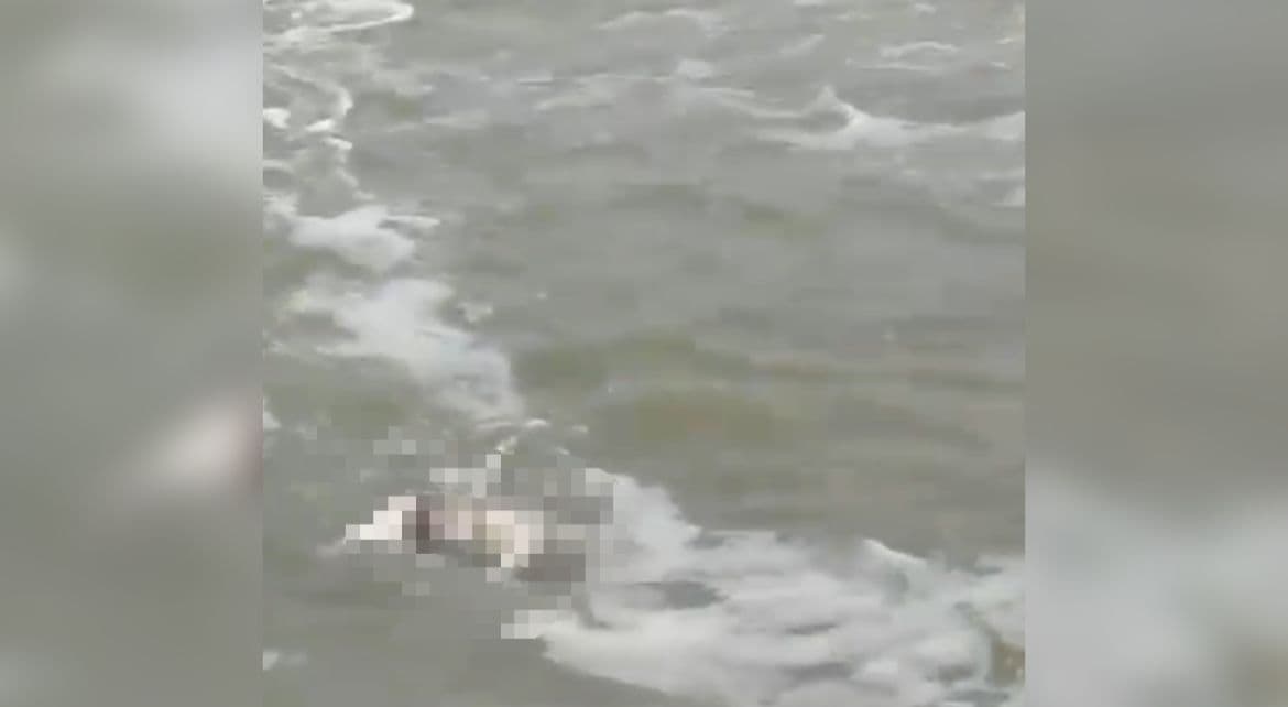 Moradores encontram corpo de homem boiando em praia de Santa Catarina