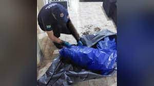 MP aponta que ossadas descobertas na casa de empresário do setor funerário são de dois irmãos