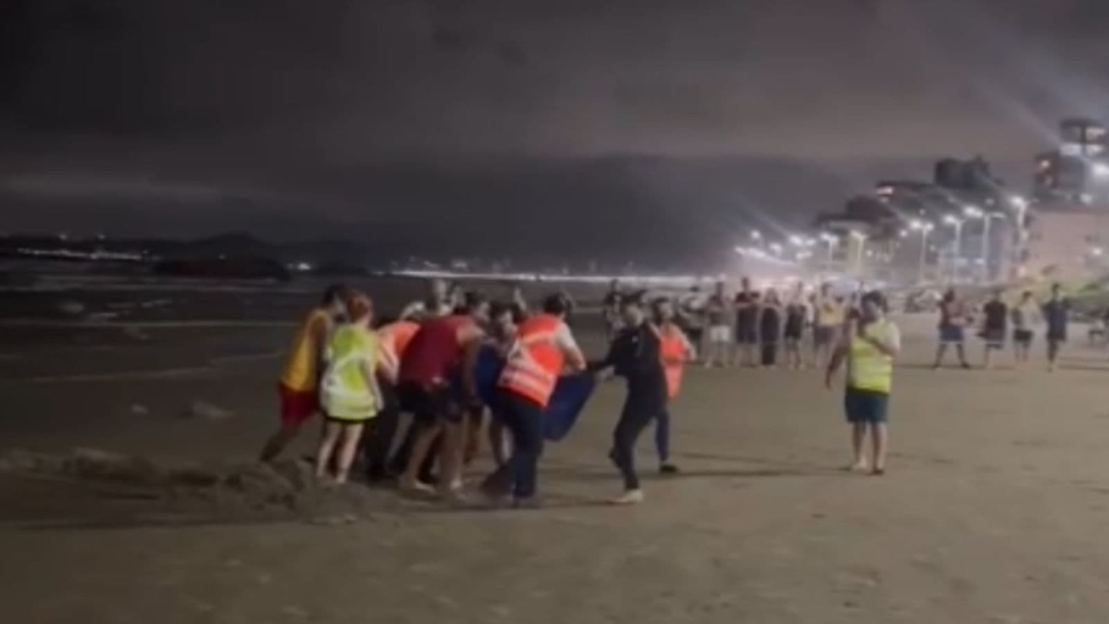 Golfinho encalha na Praia do Gravatá, em Navegantes