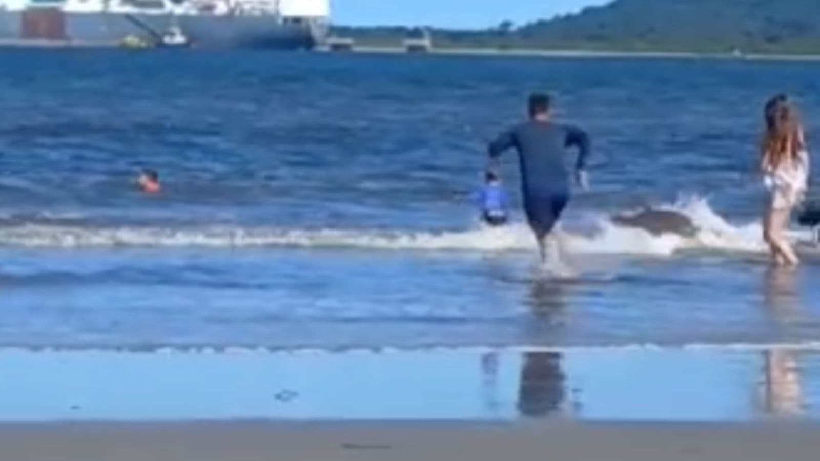 Capivara derruba criança enquanto tomava banho de mar com a família em praia de SC