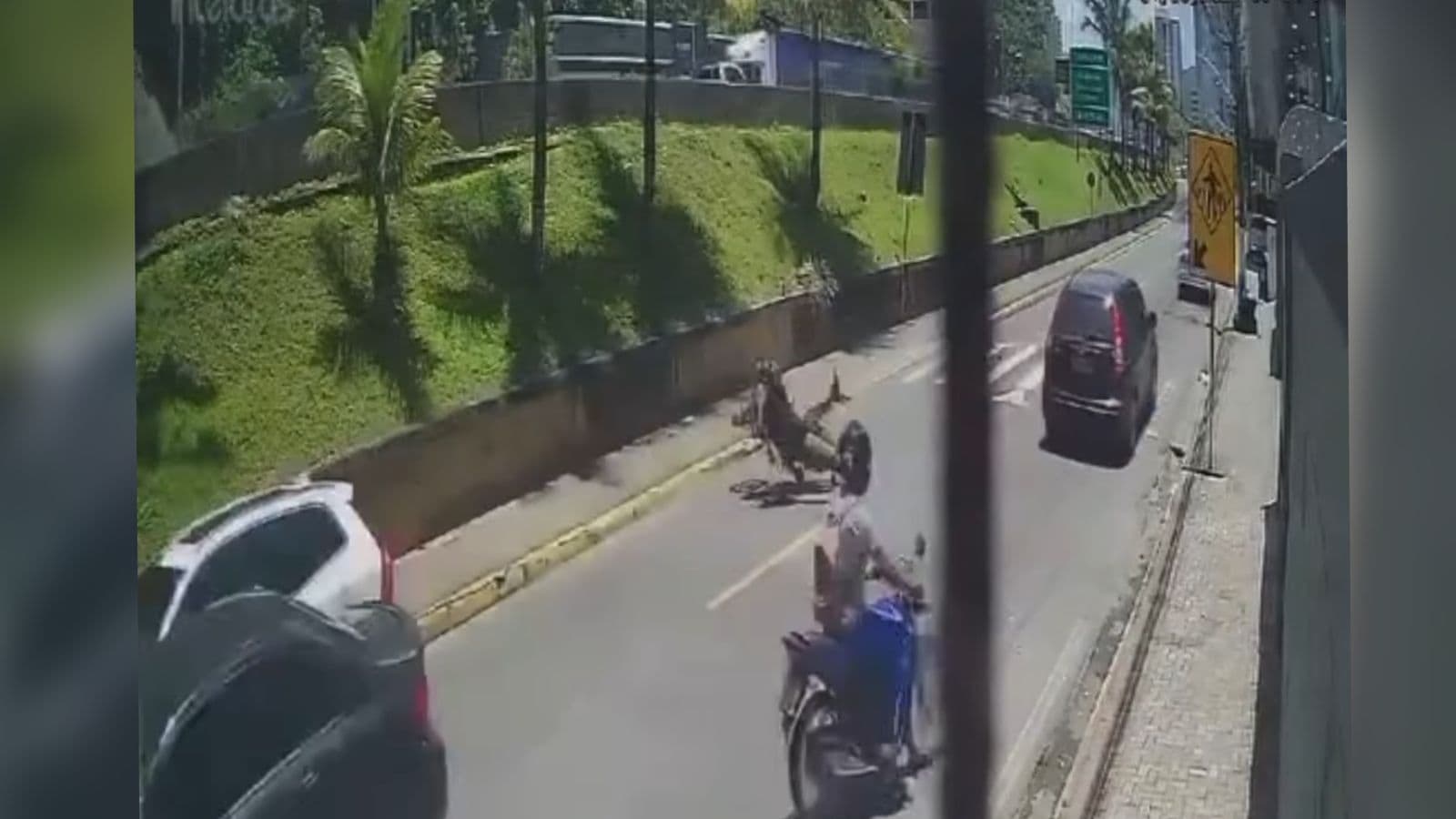 Motociclista é atropelado por veículo em fuga da Guarda Municipal em Itapema