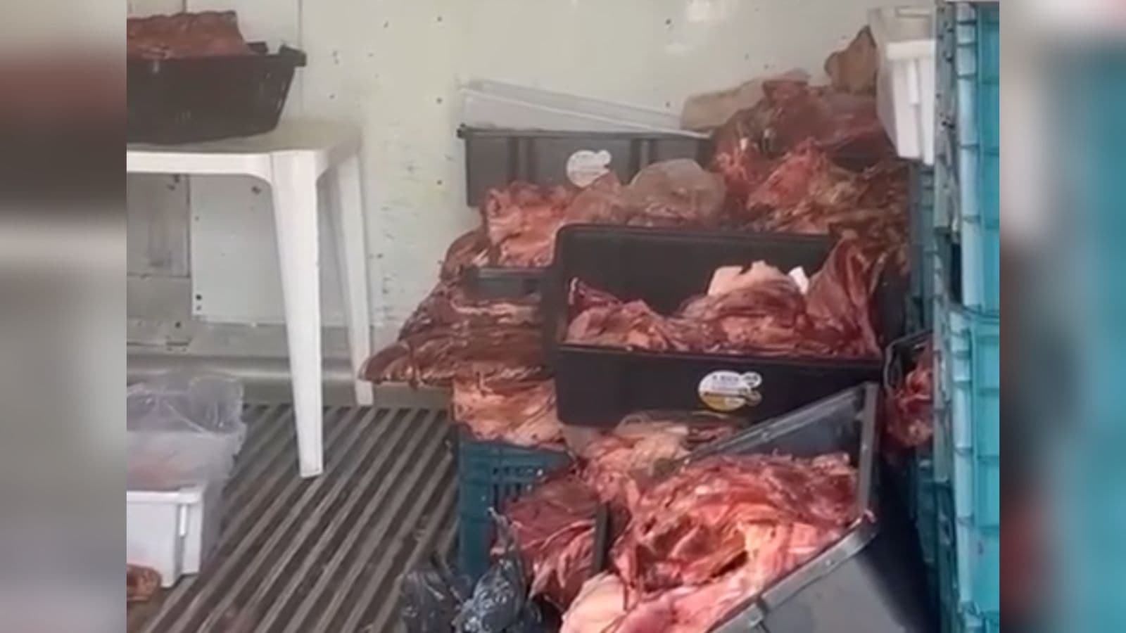 “Charque em promoção”: Açougue é fechado vendendo carne estragada em Itajaí