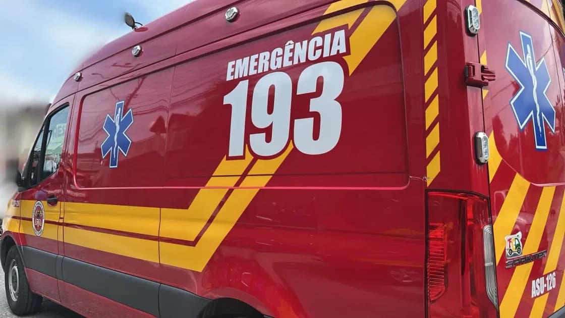 Mãe e filha de 2 anos são atacadas por pitbull em Brusque