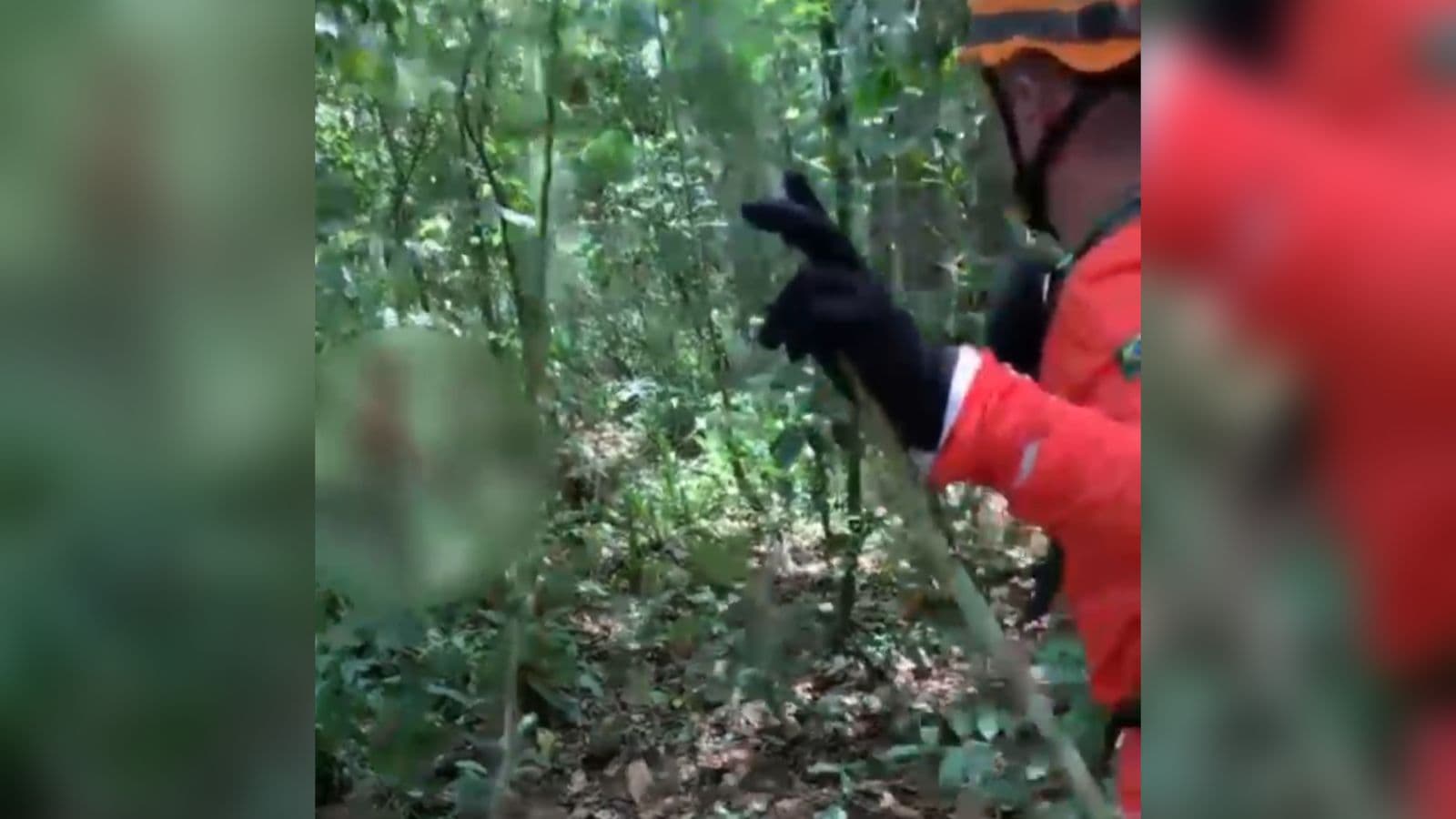 Idoso com transtornos mentais é resgatado após 30 horas desaparecido em área de mata