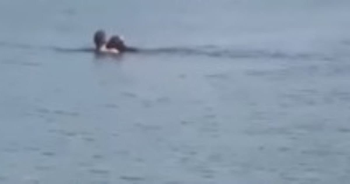 Jovem resgatada com sinais de embriaguez após quase se afogar em Balneário Camboriú