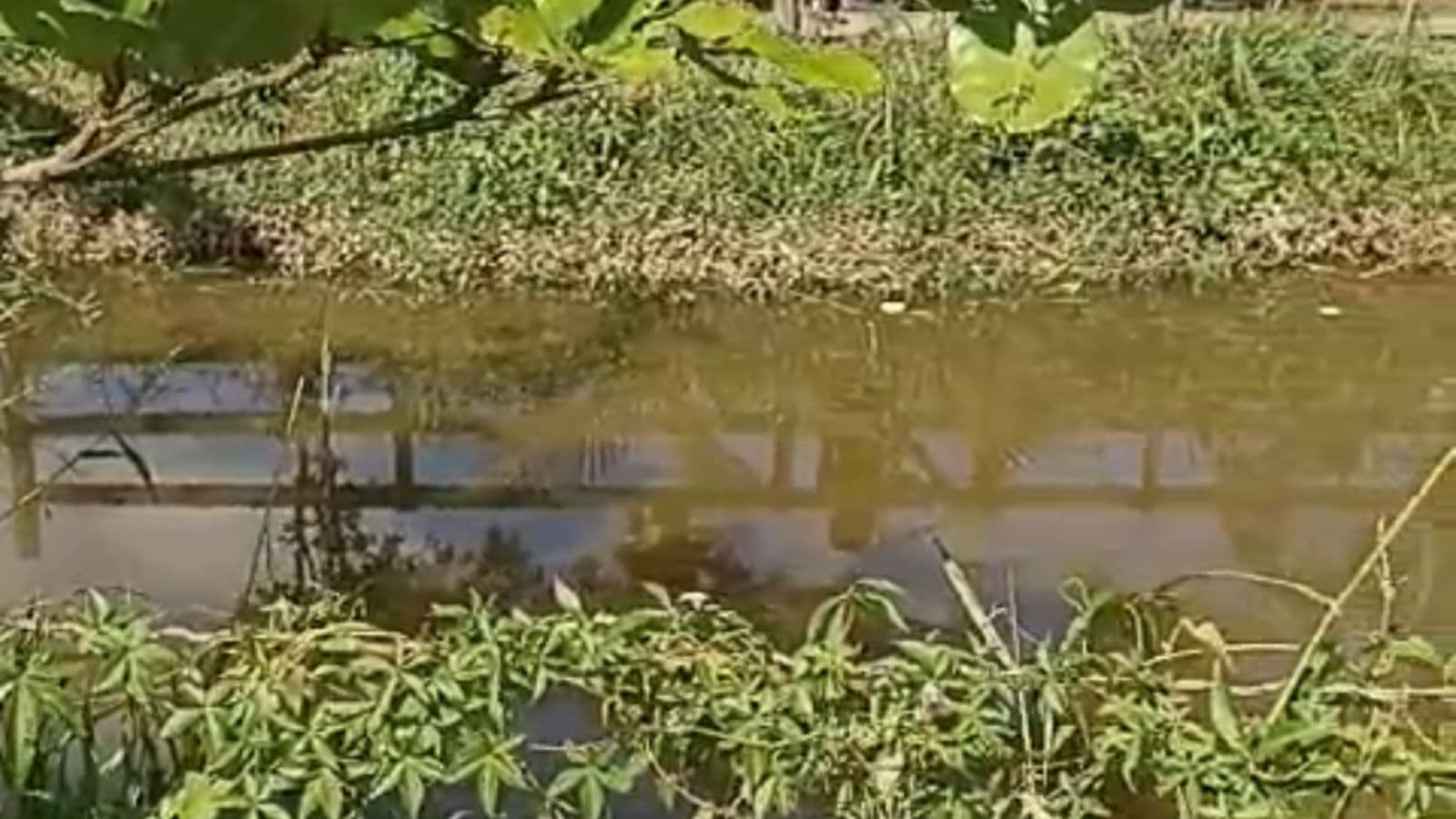 Criança de 3 anos é encontrada morta dentro de lagoa em Nova Trento
