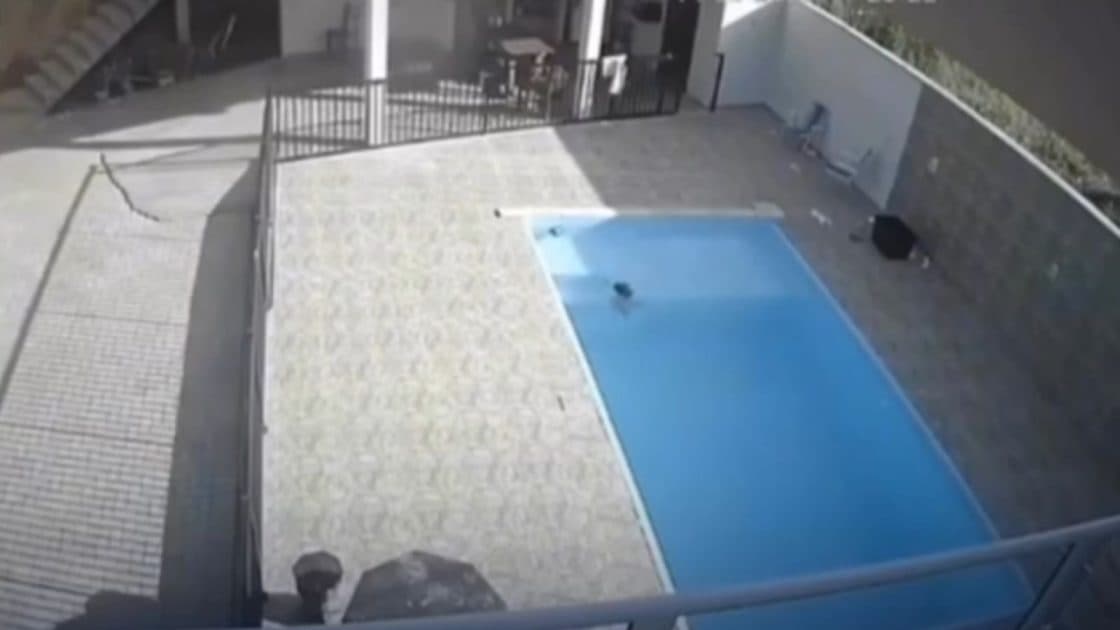 “Livramento”: Criança é salva após cair dentro de piscina na casa da família em Santa Catarina
