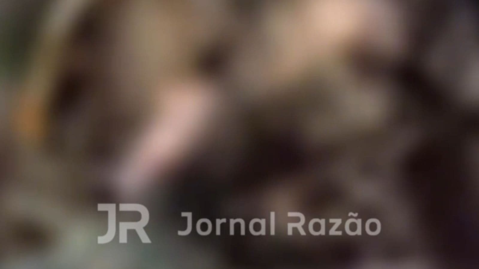 “Operação Recomeço”: Corpo é encontrado em área de mata após denúncia em Itajaí