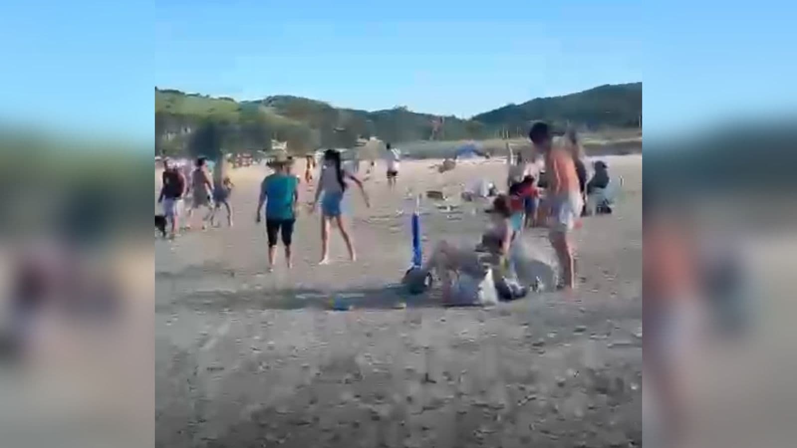 “Pula na água”: Turistas são atacados por enxame de marimbondos em praia de SC