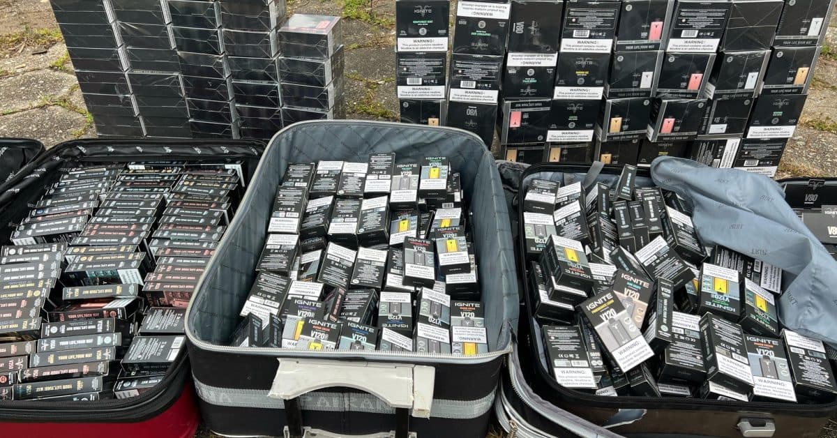 Polícia desmantela esquema de contrabando de cigarros eletrônicos em Camboriú