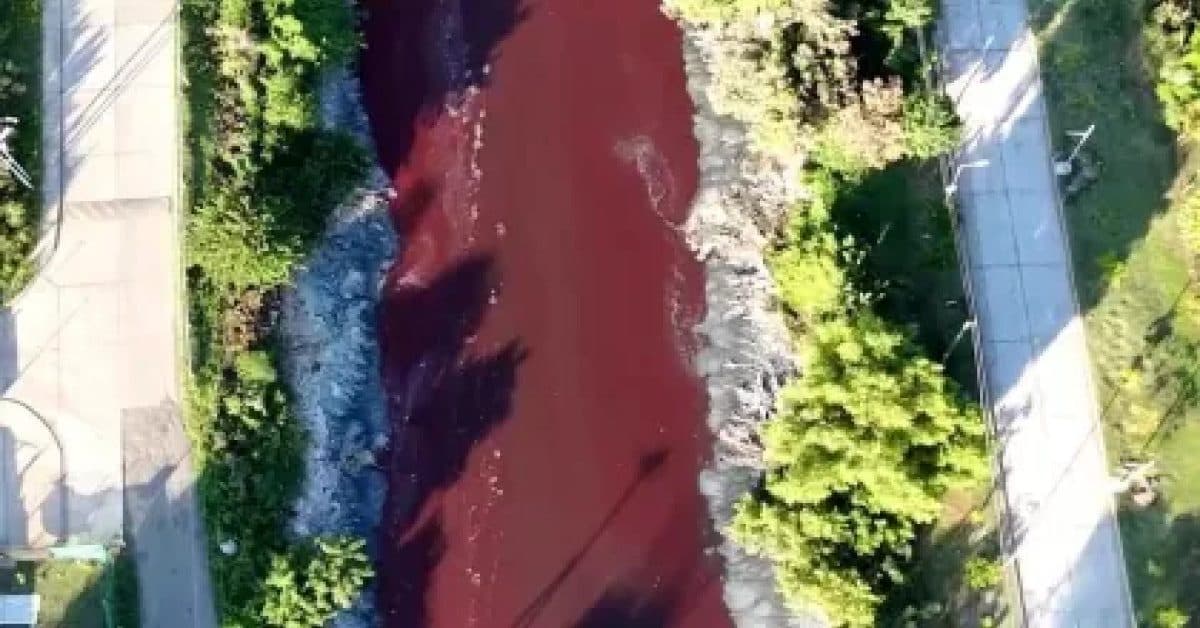 Rio da Argentina fica vermelho “sangue” e assusta moradores