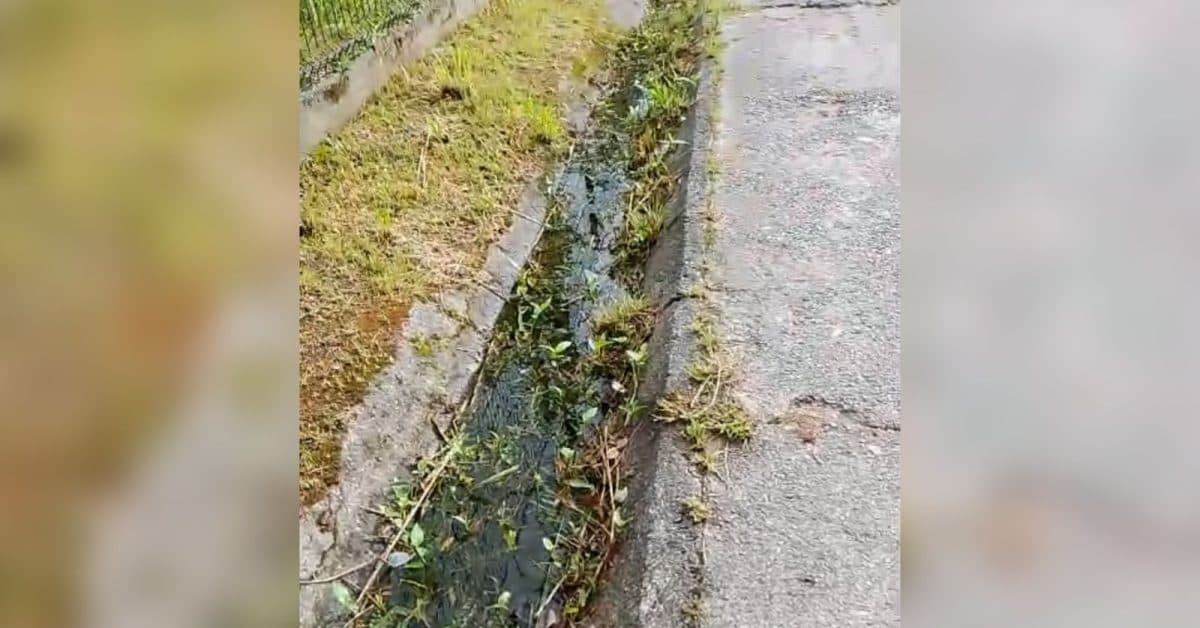Moradores denunciam água parada e risco de dengue próximo ao túnel Antonieta de Barros em Florianópolis