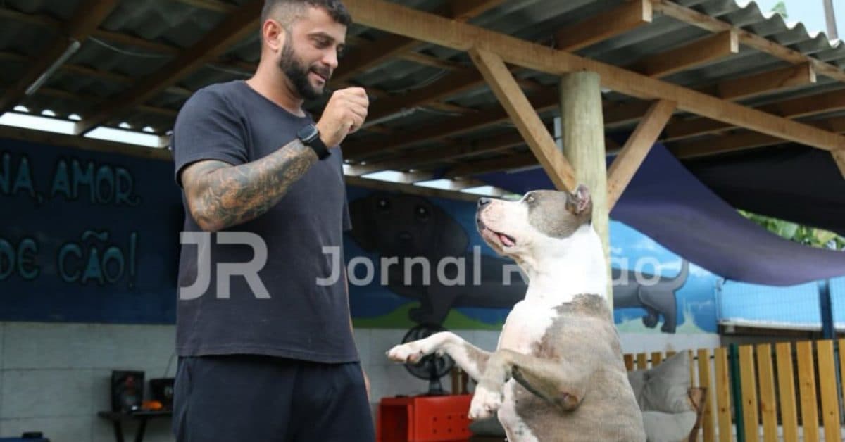 Sabia que mordidas de cães representam 60% dos acidentes com pets? Adestramento pode evitar isso