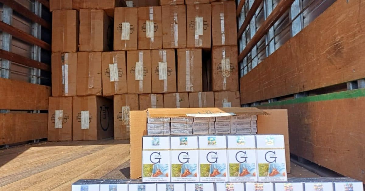 Mais de 41 mil maços de cigarros contrabandeados são encontrados em furgão na BR-101