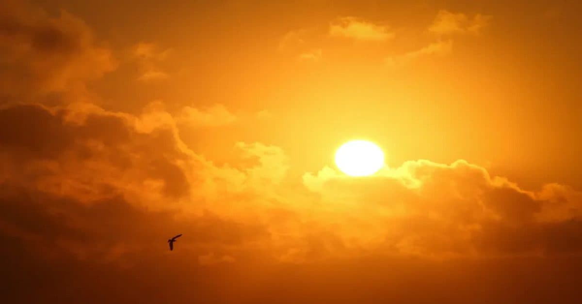 Fim de semana será de muito calor, e temperatura pode chegar a 40°C em SC