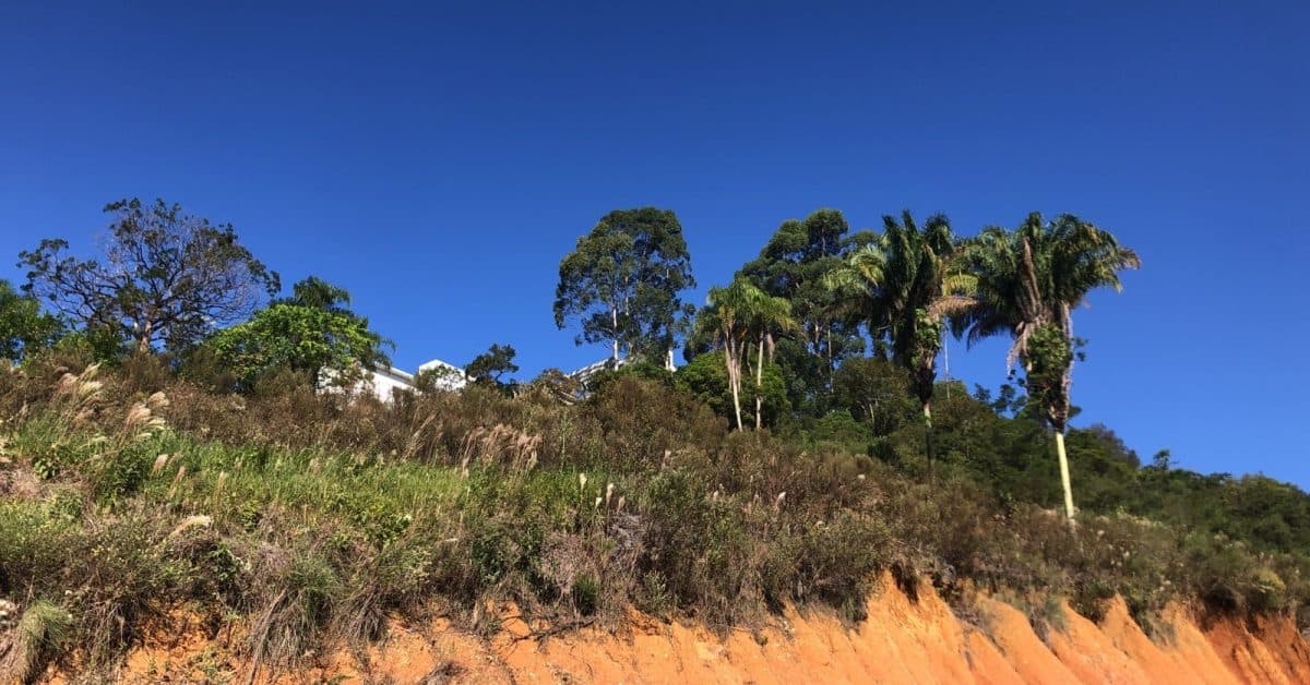 Foguete lançado por populares provoca incêndio em Camboriú e coloca residências em risco