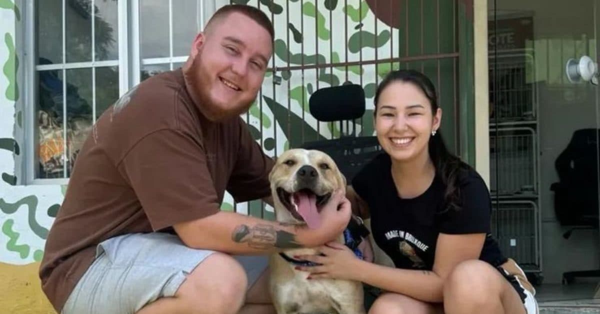 Companheiro leal: cão que permaneceu ao lado do tutor morto é adotado