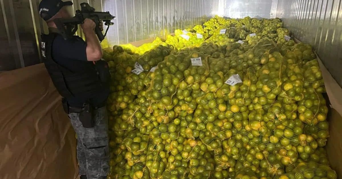 Receita Federal apreende quase 500 kg de cocaína em carga de laranja em porto de SC