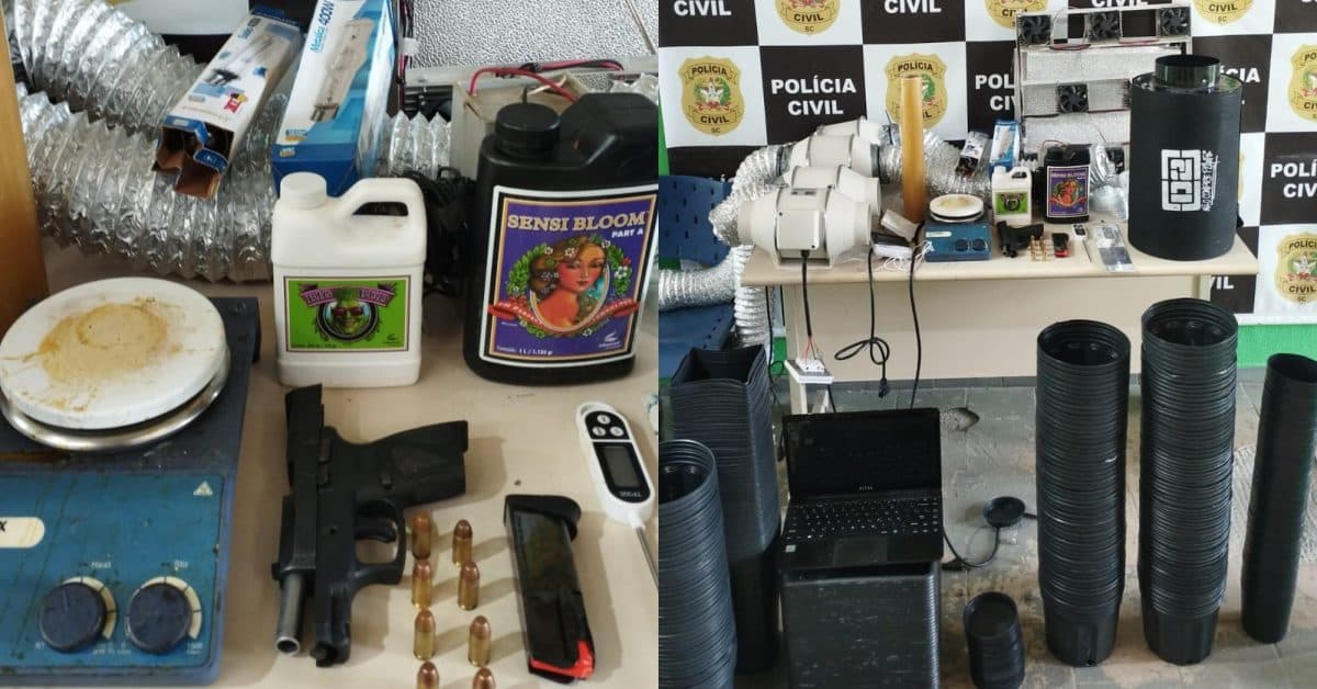  “Laboratório do crime”: Homem é preso com estufa de maconha e arma em BC