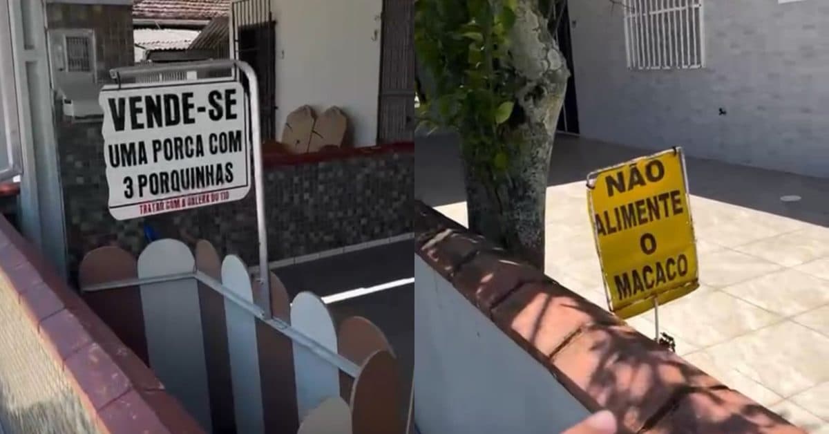 Moradores em praia de Santa Catarina divertem turistas com plaquinhas criativas
