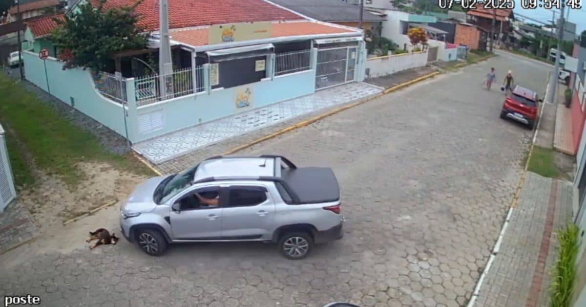 “Estava dormindo“: Motorista é preso após passar com veículo em cima da cabeça de cachorro em Bombinhas