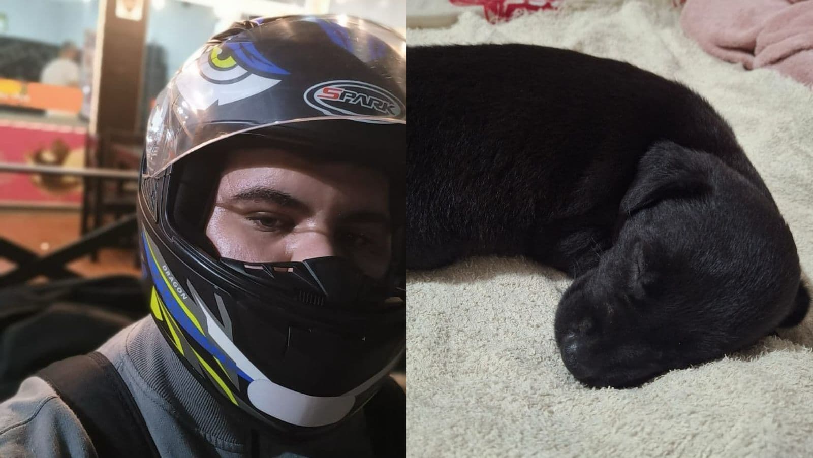 Motoboy salva cachorrinha deixada para morrer dentro de saco de lixo