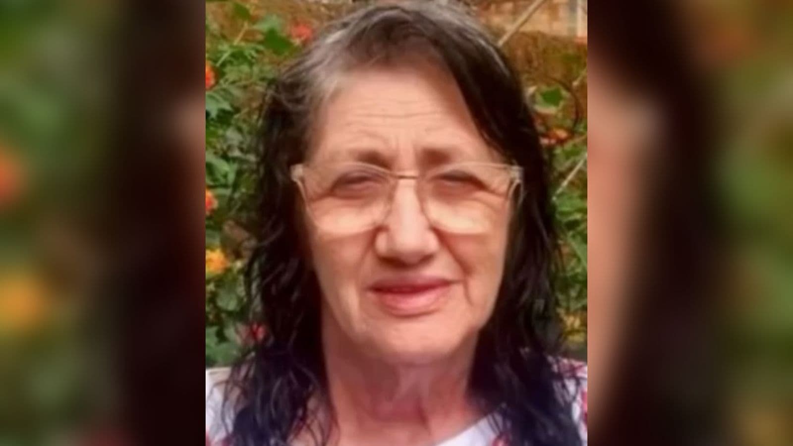 Idosa morre após ser atacada por marimbondos em Santa Catarina