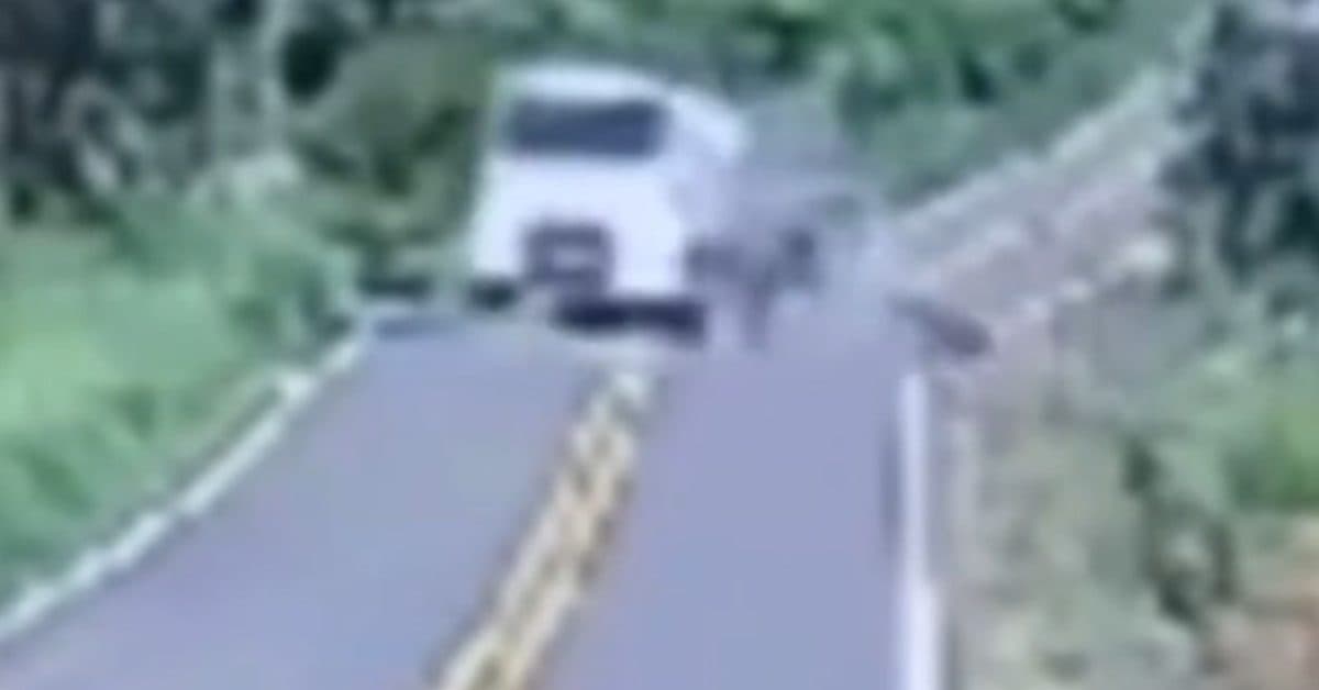 Caminhão de SC invade pista contrária e mata irmãos em rodovia do Paraná