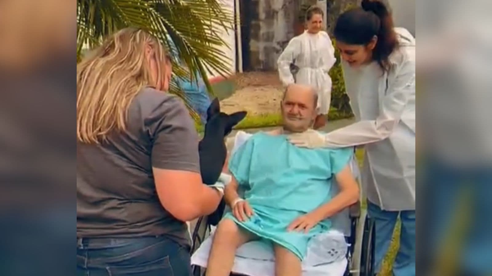 Paciente internado realiza desejo e reencontra seu cãozinho em hospital de SC