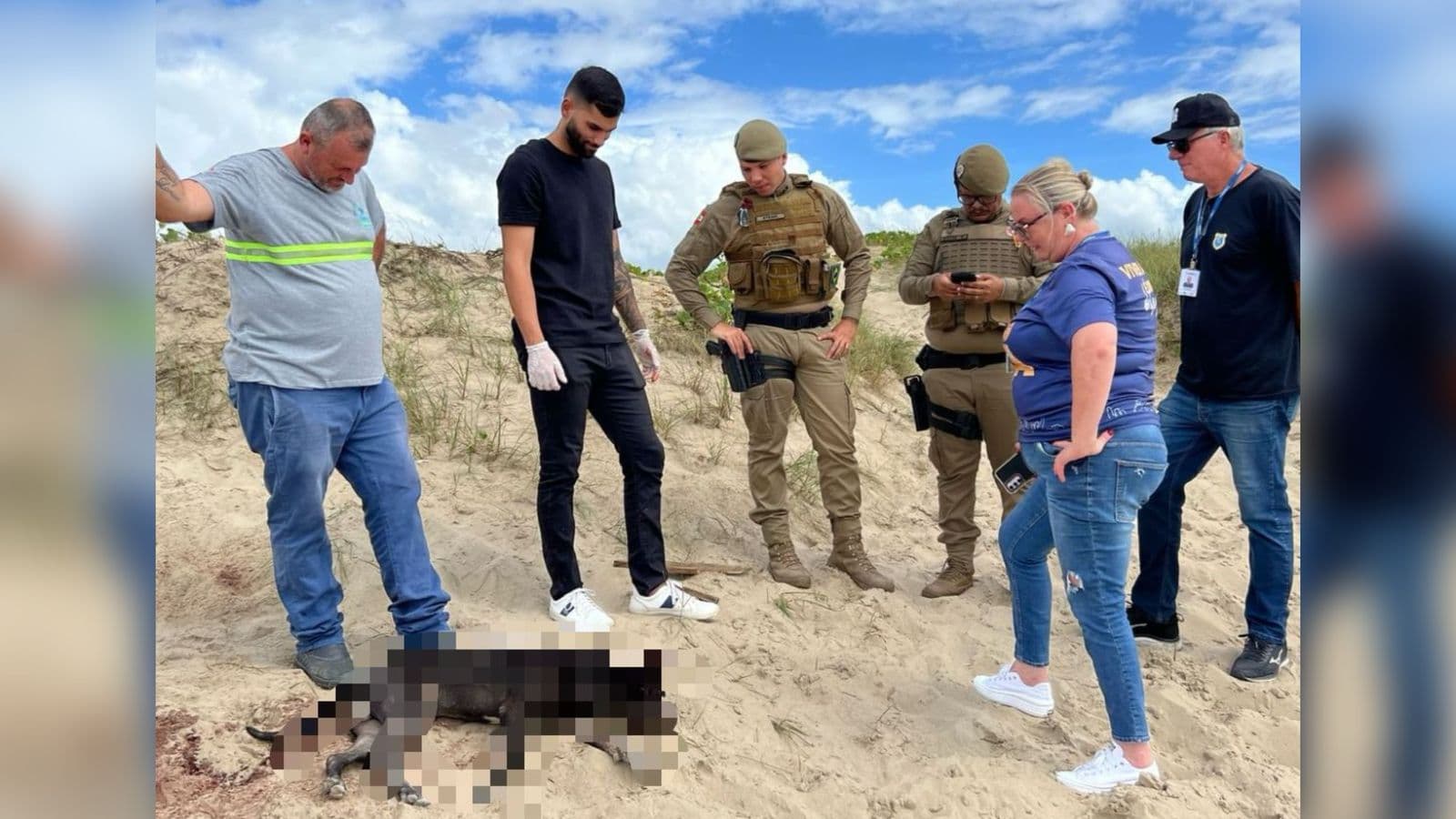 Cachorro encontrado morto em praia de SC levou facada na cabeça