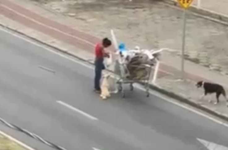 Gesto de amor: mulher em situação de rua compartilha refeição com cachorro