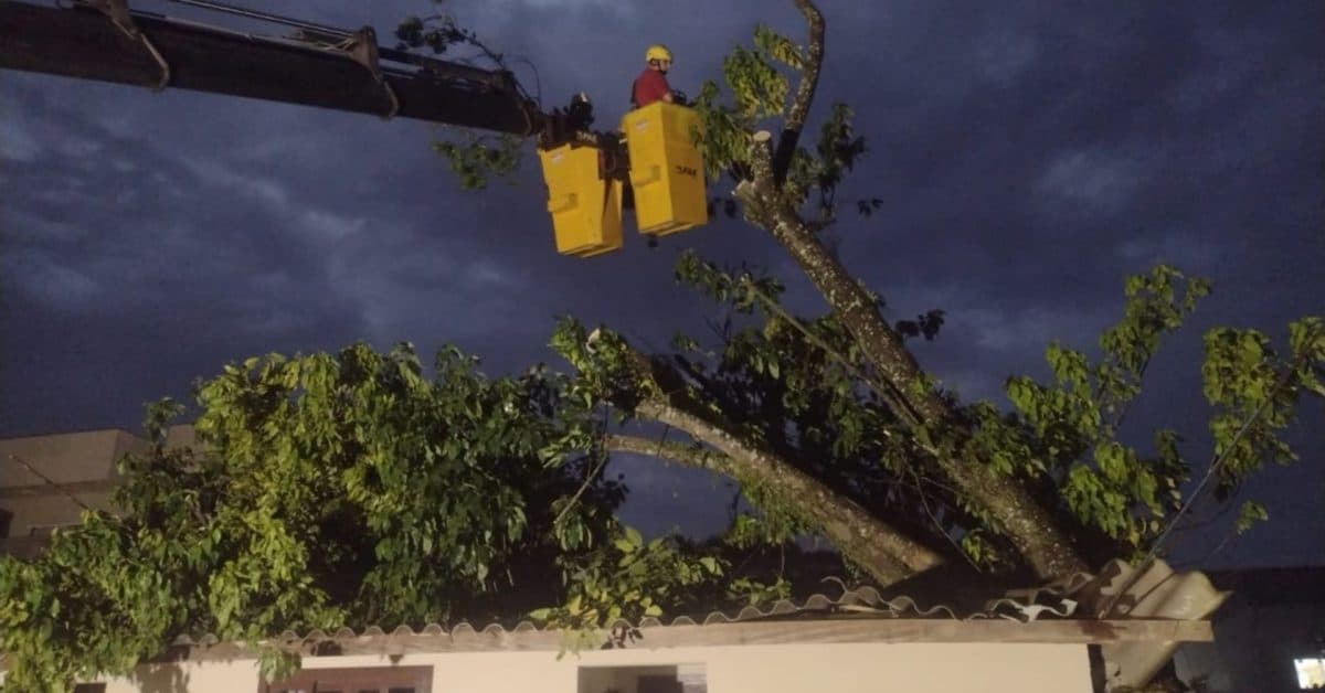 Temporal provoca estragos em Brusque com alagamentos e queda de árvores