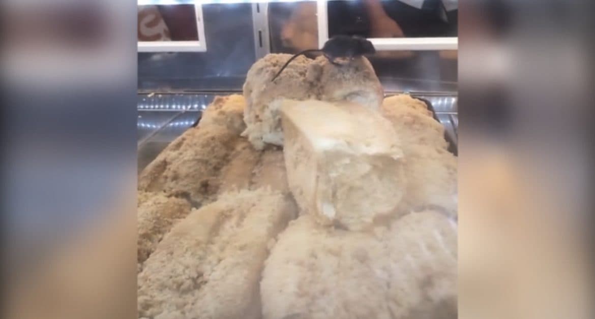 Eca! Cliente encontra rato “degustando” pães doces em mercado de Santa Catarina