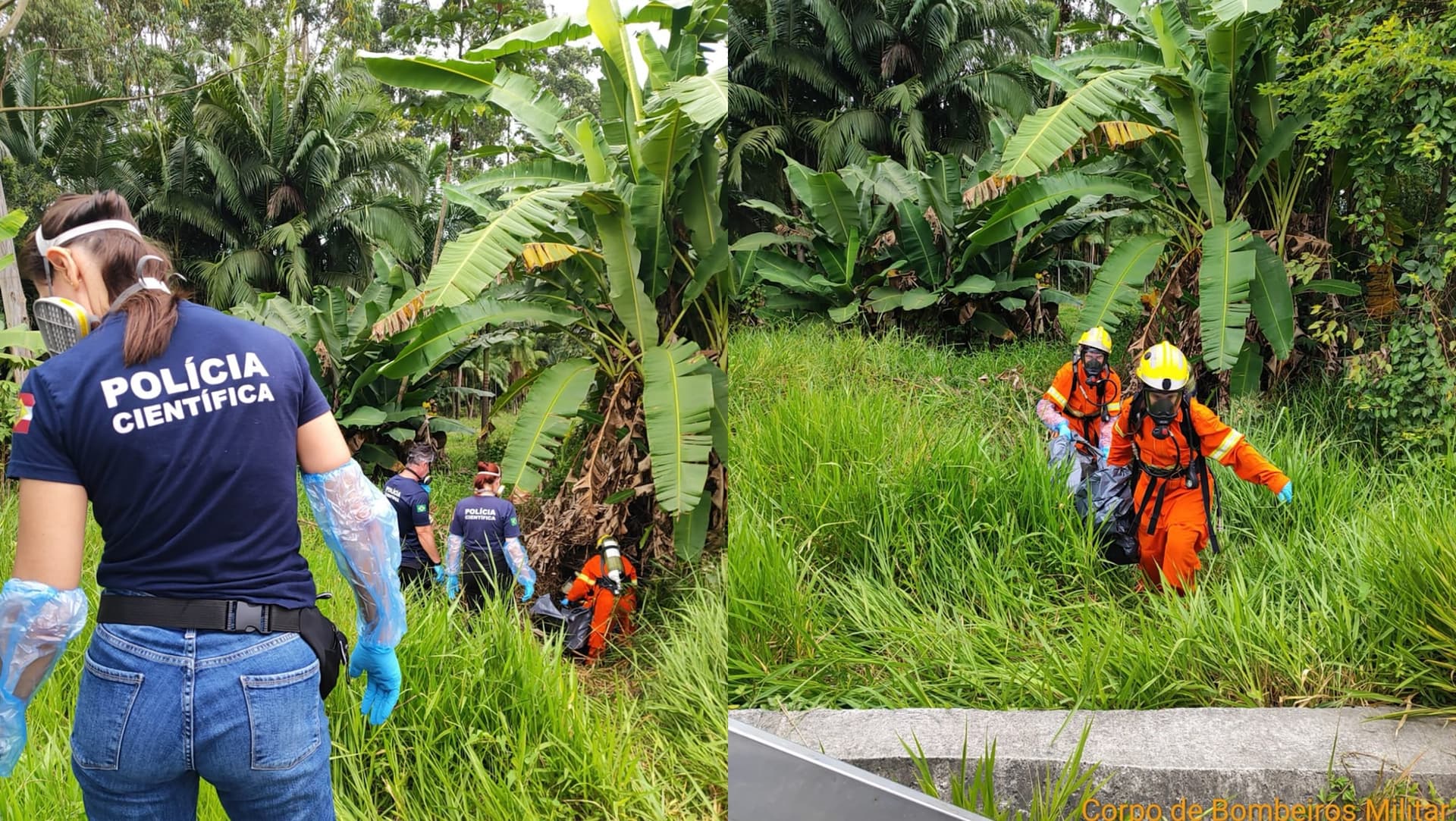 Corpo em decomposição é encontrado em mata às margens da BR-470, em Gaspar