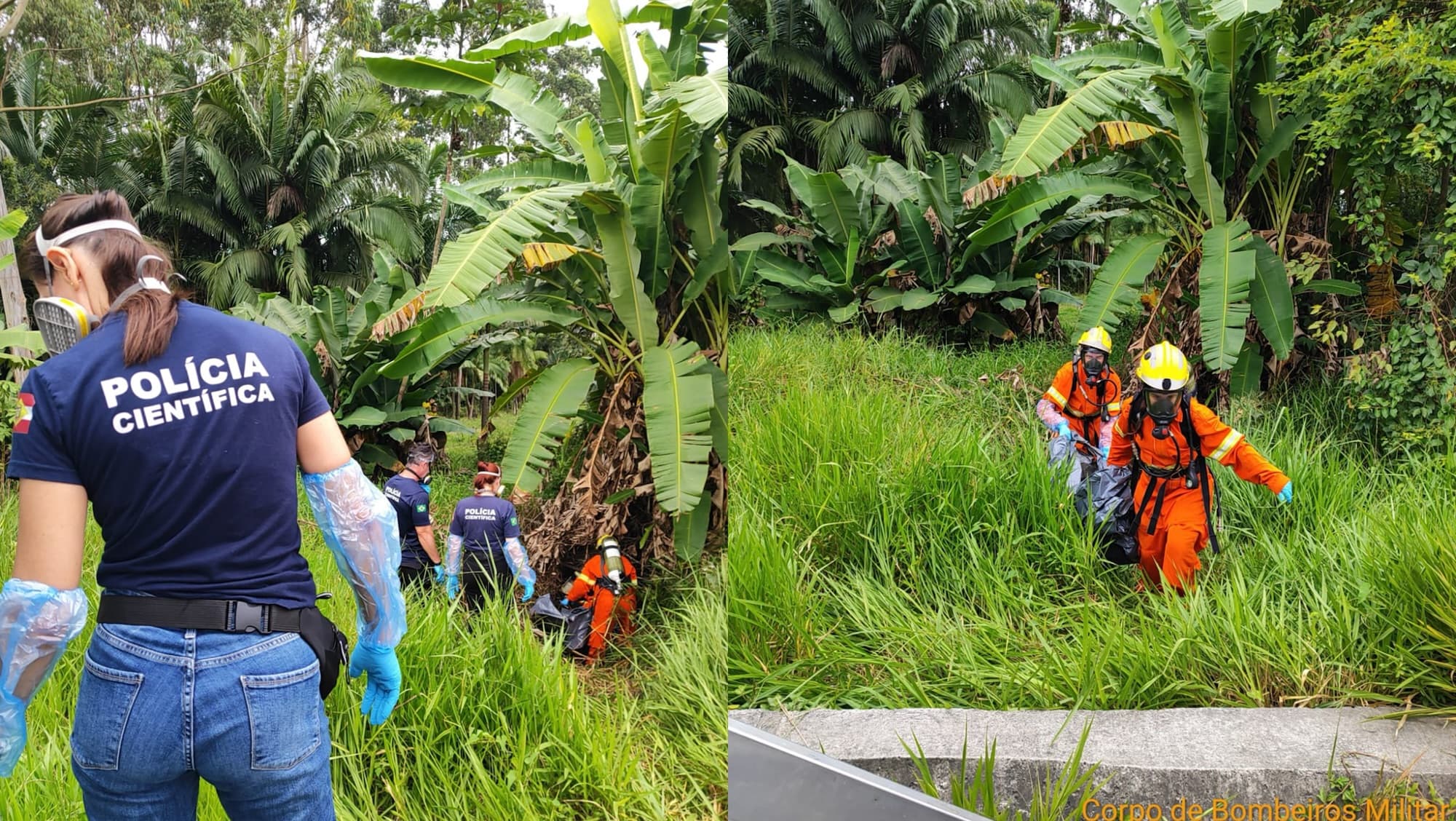 Corpo em decomposição é encontrado em mata às margens da BR-470, em Gaspar