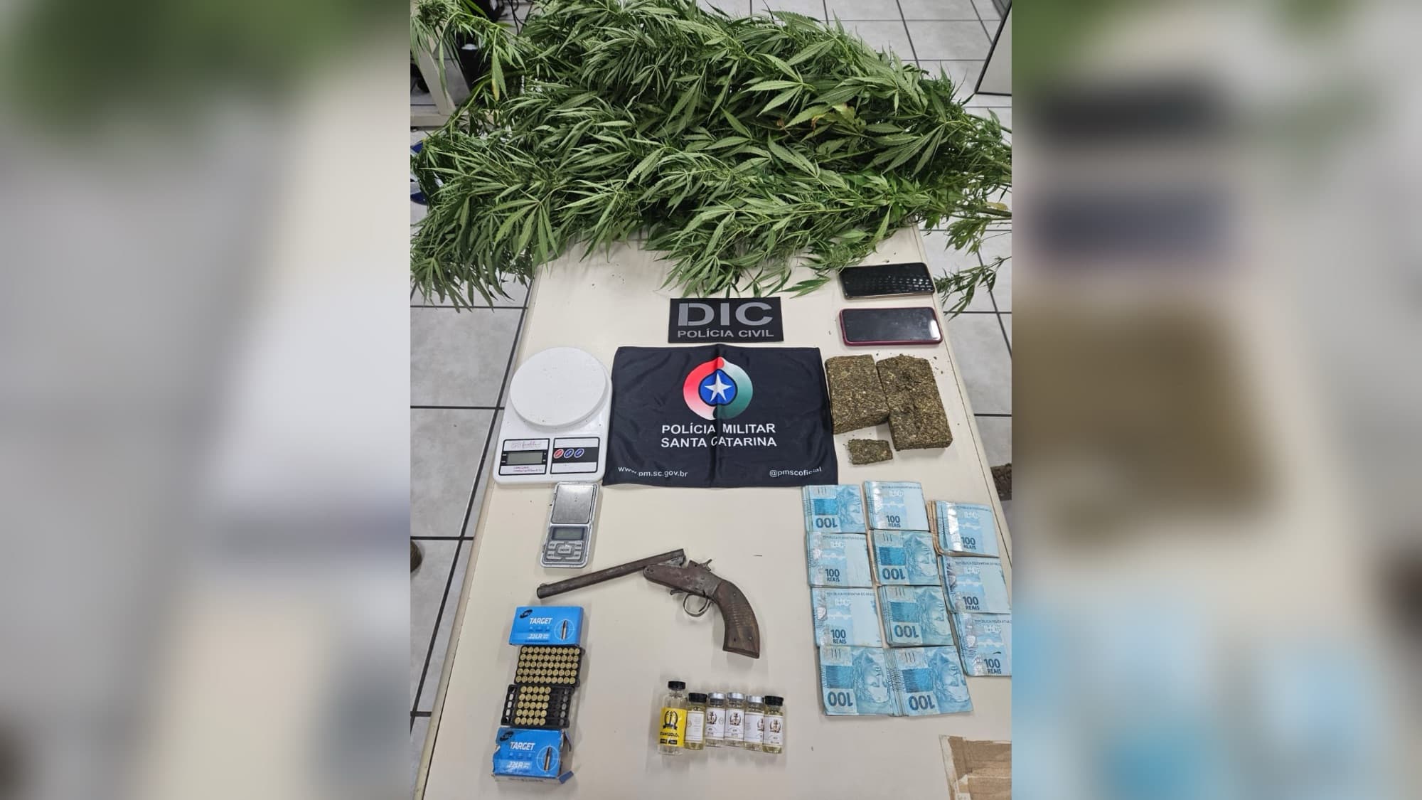 Fuga frustrada! Suspeito é capturado com pés de maconha, anabolizantes e arma 