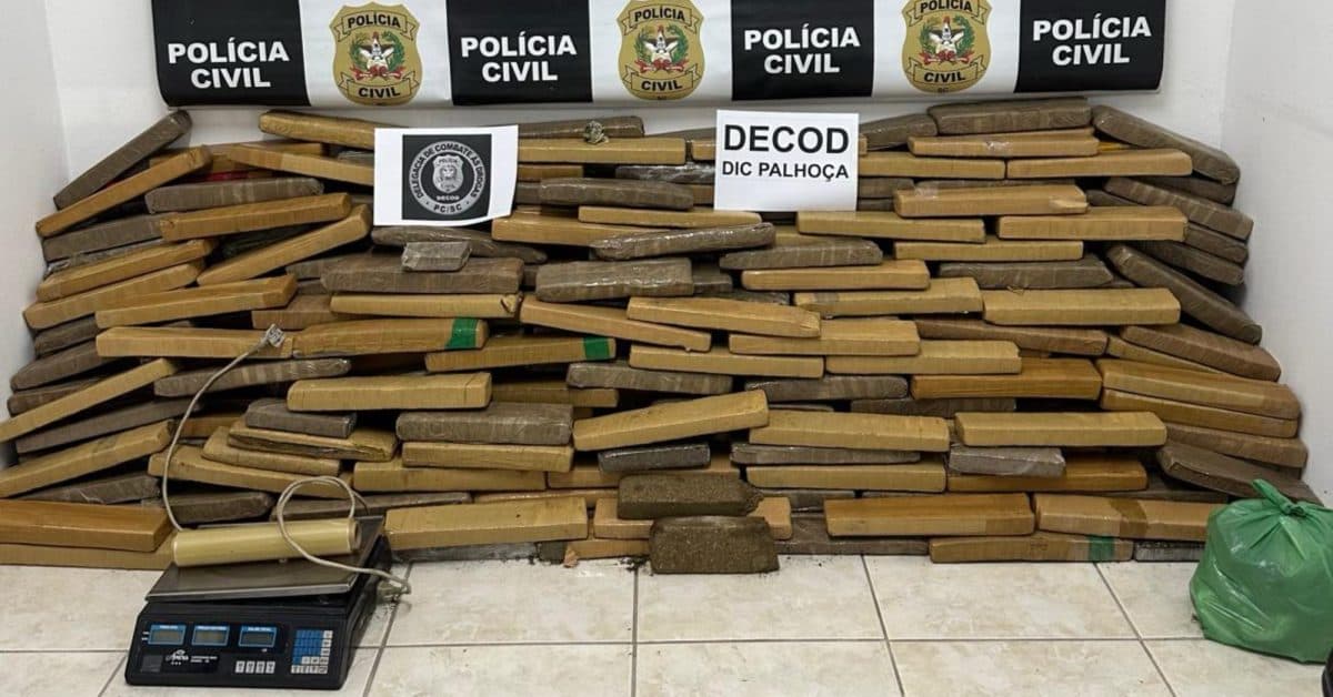 Traficante é flagrado com 400 quilos de maconha escondidos em casa na Palhoça