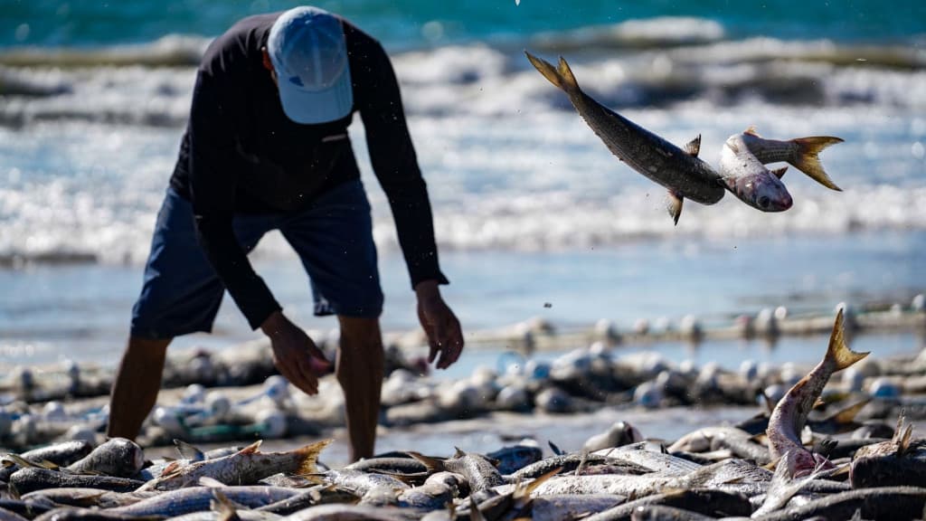 Governo federal impõe cotas de pesca e Jorginho Mello reage: “Essa briga nós vamos comprar”
