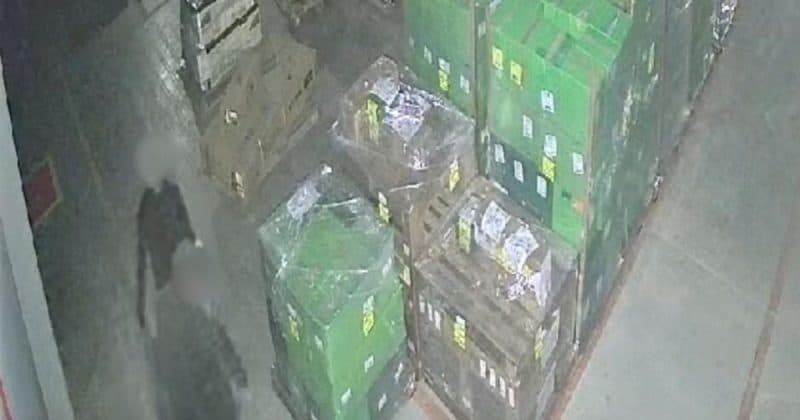 Pai aciona polícia após identificar o próprio filho em furto na transportadora onde trabalha